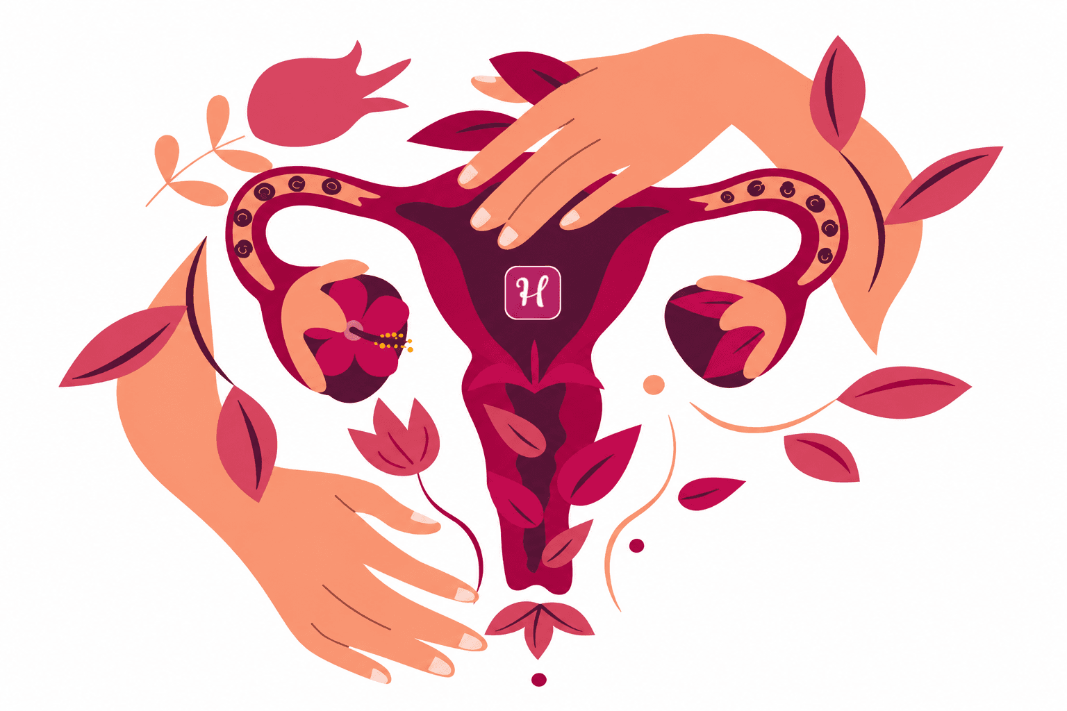 harmony diet women uterus