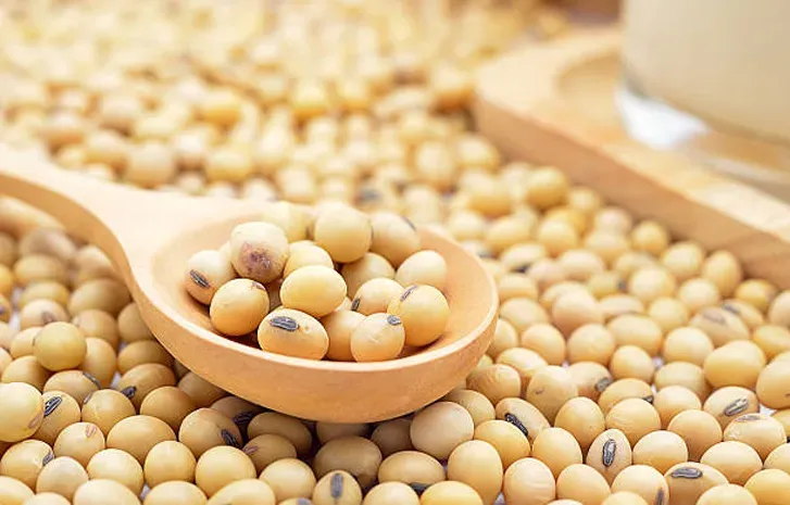 nattokinase