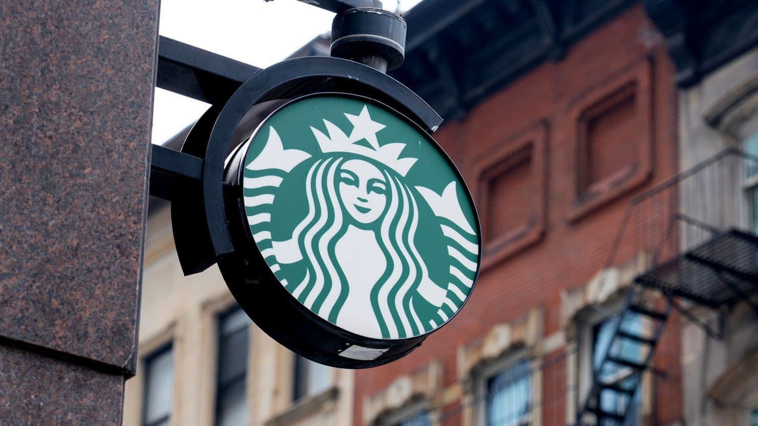 starbucks carnivore diet