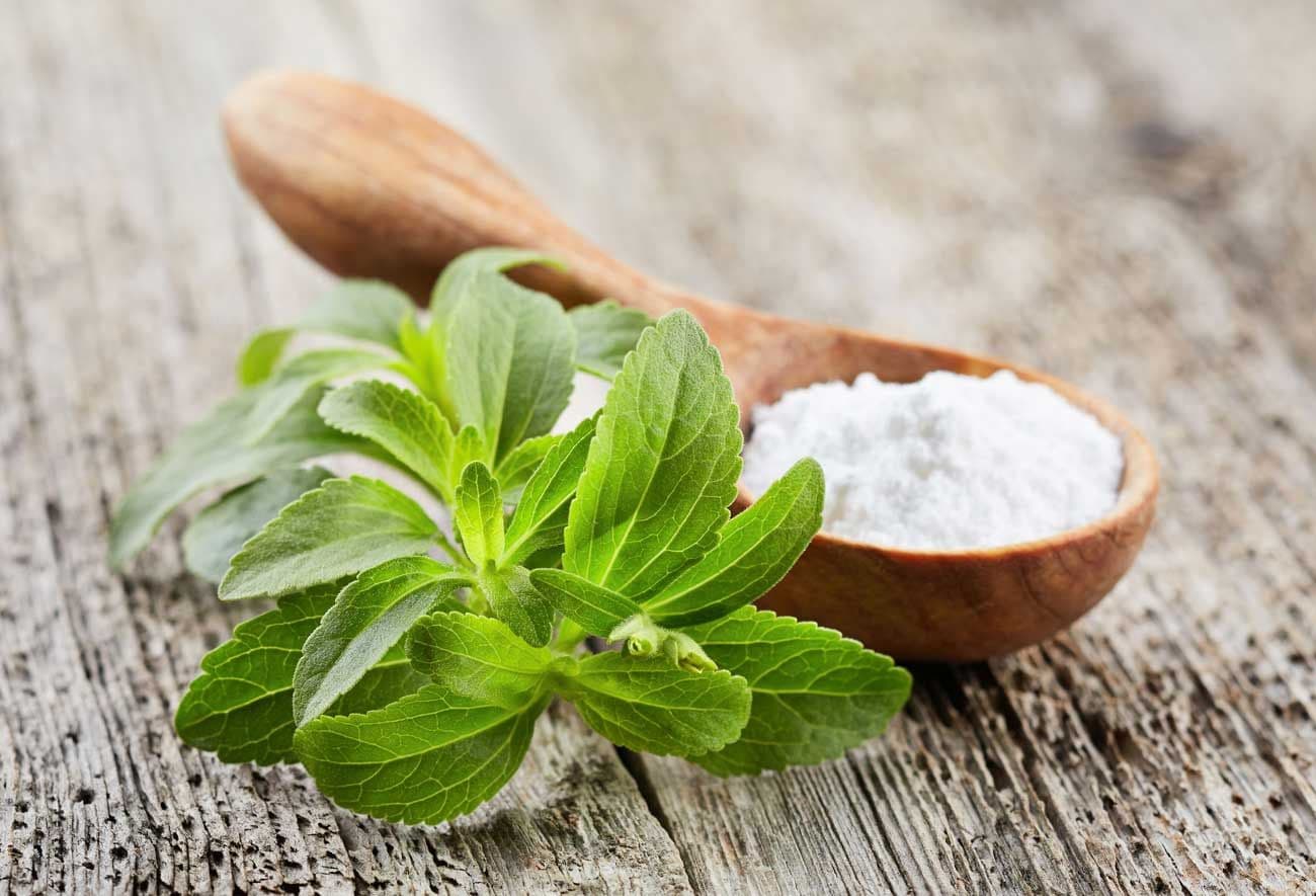 stevia carnivore