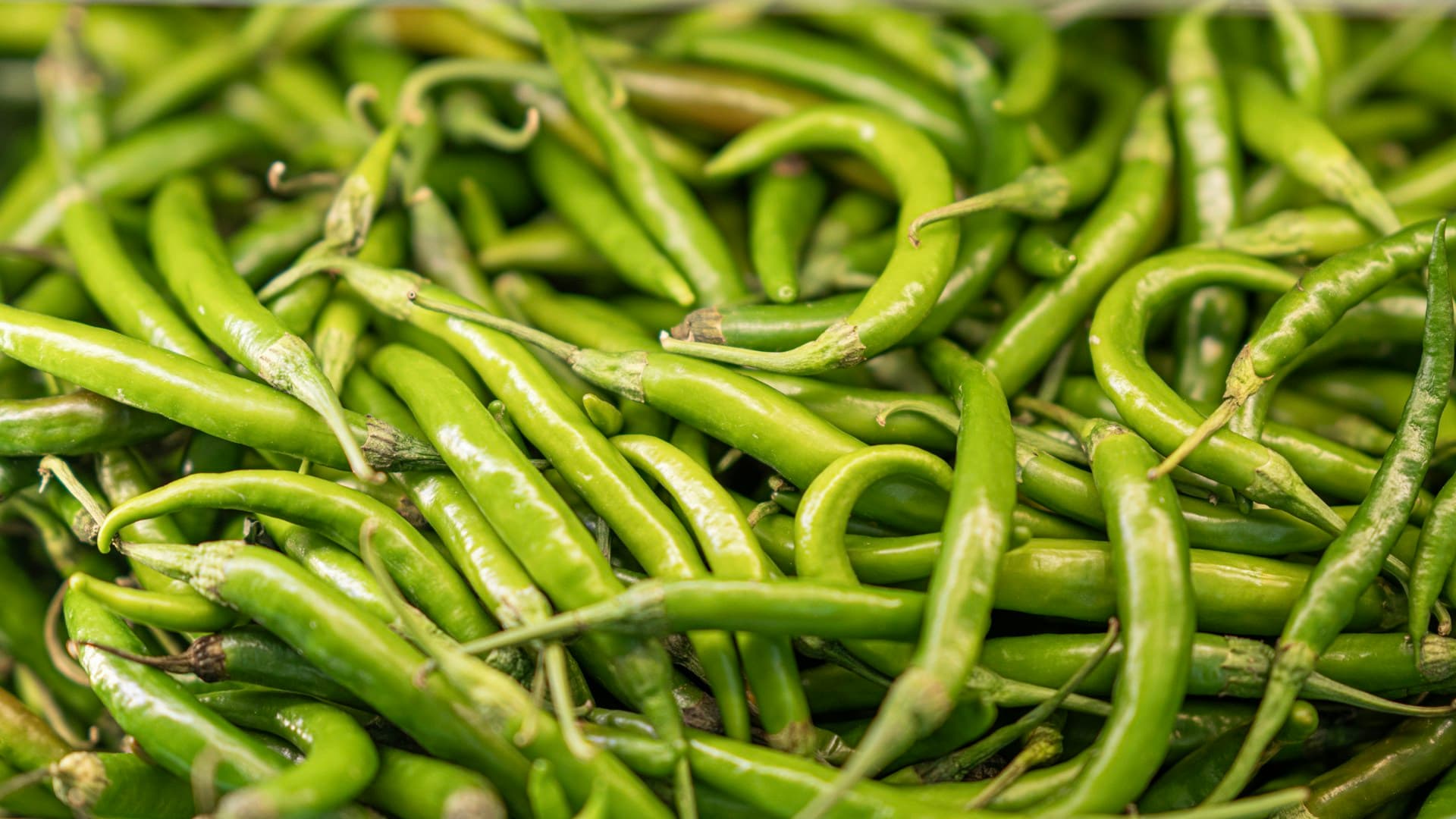 fresh vegetables