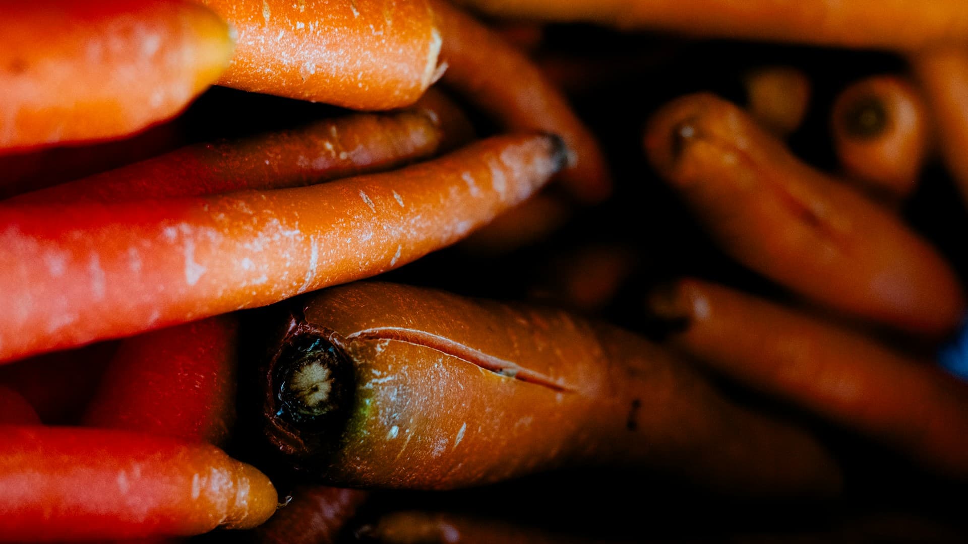 fresh vegetables