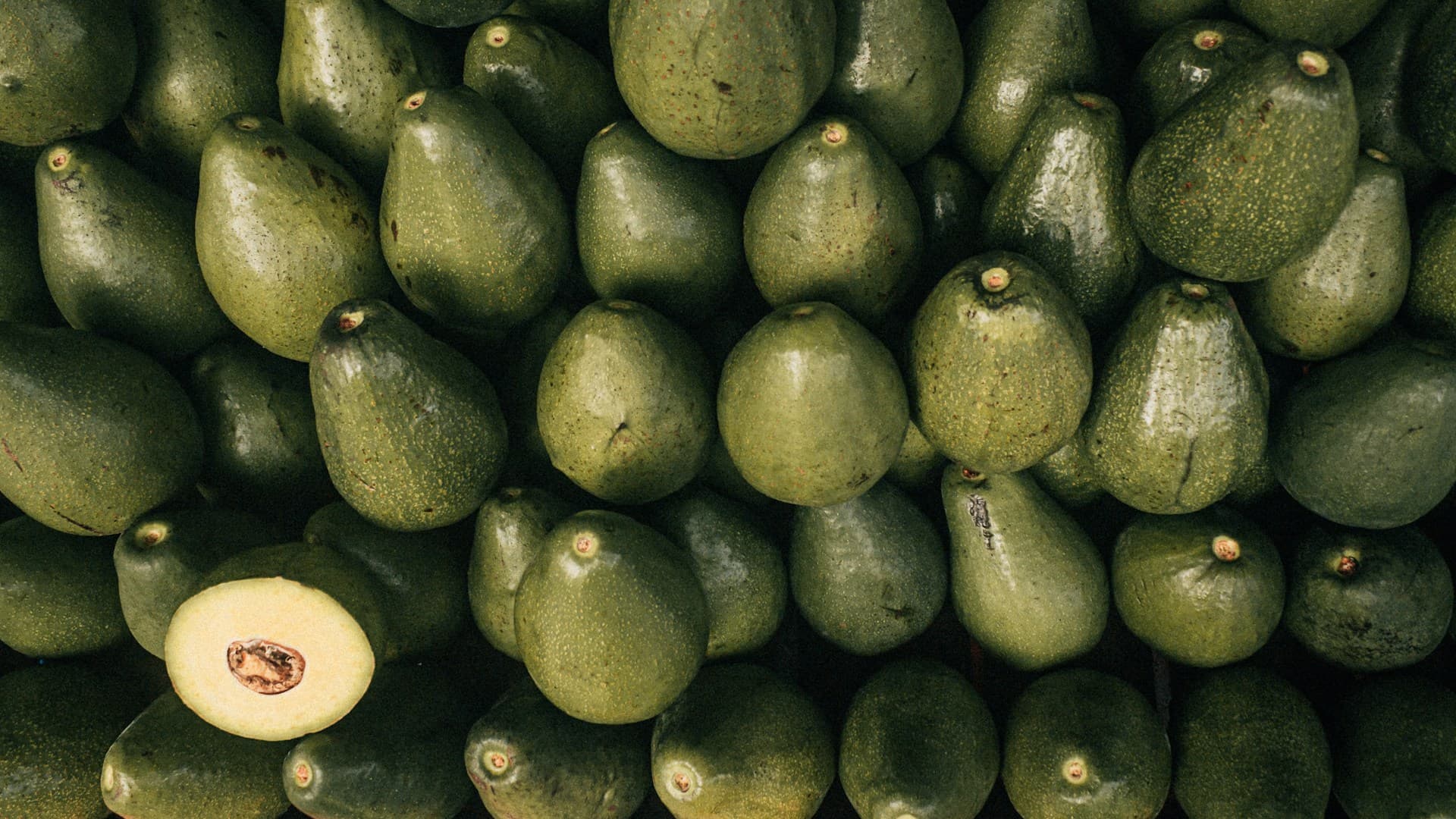 avocado-carnivore-diet
