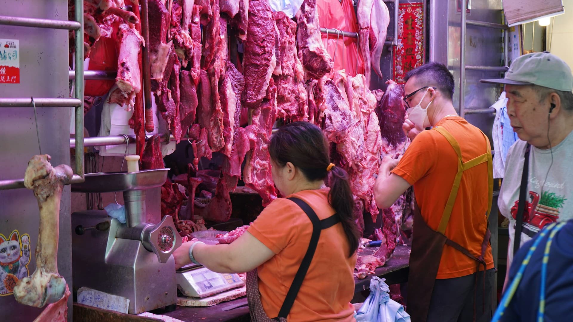 carnimeat preparation
