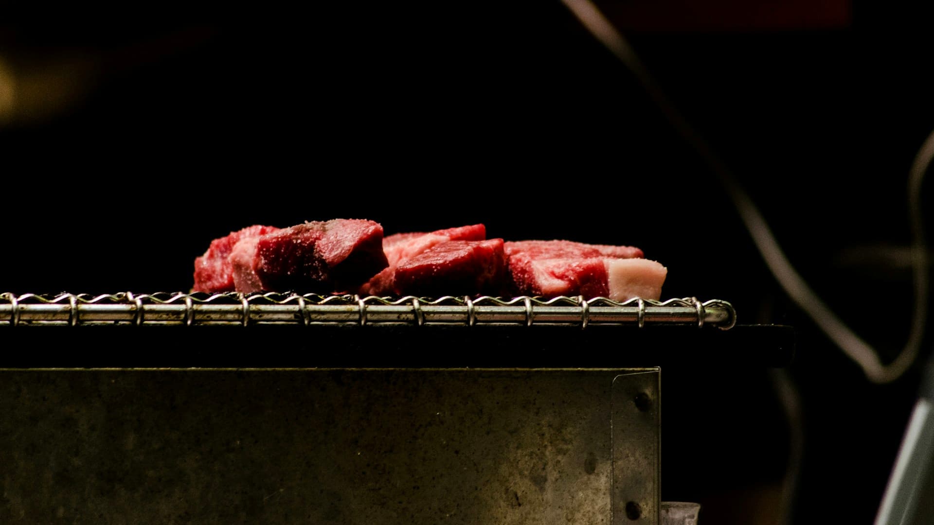 carnivore bbq