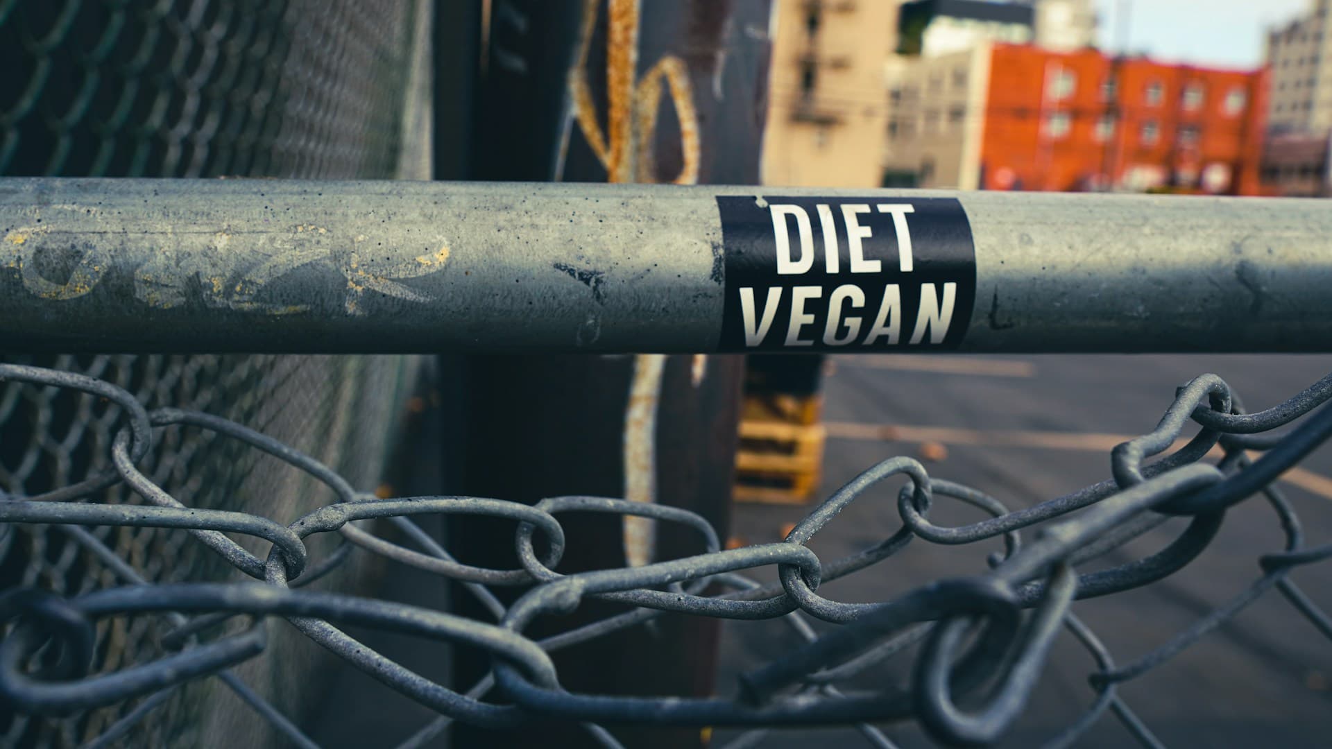 carnivore diet and adhd