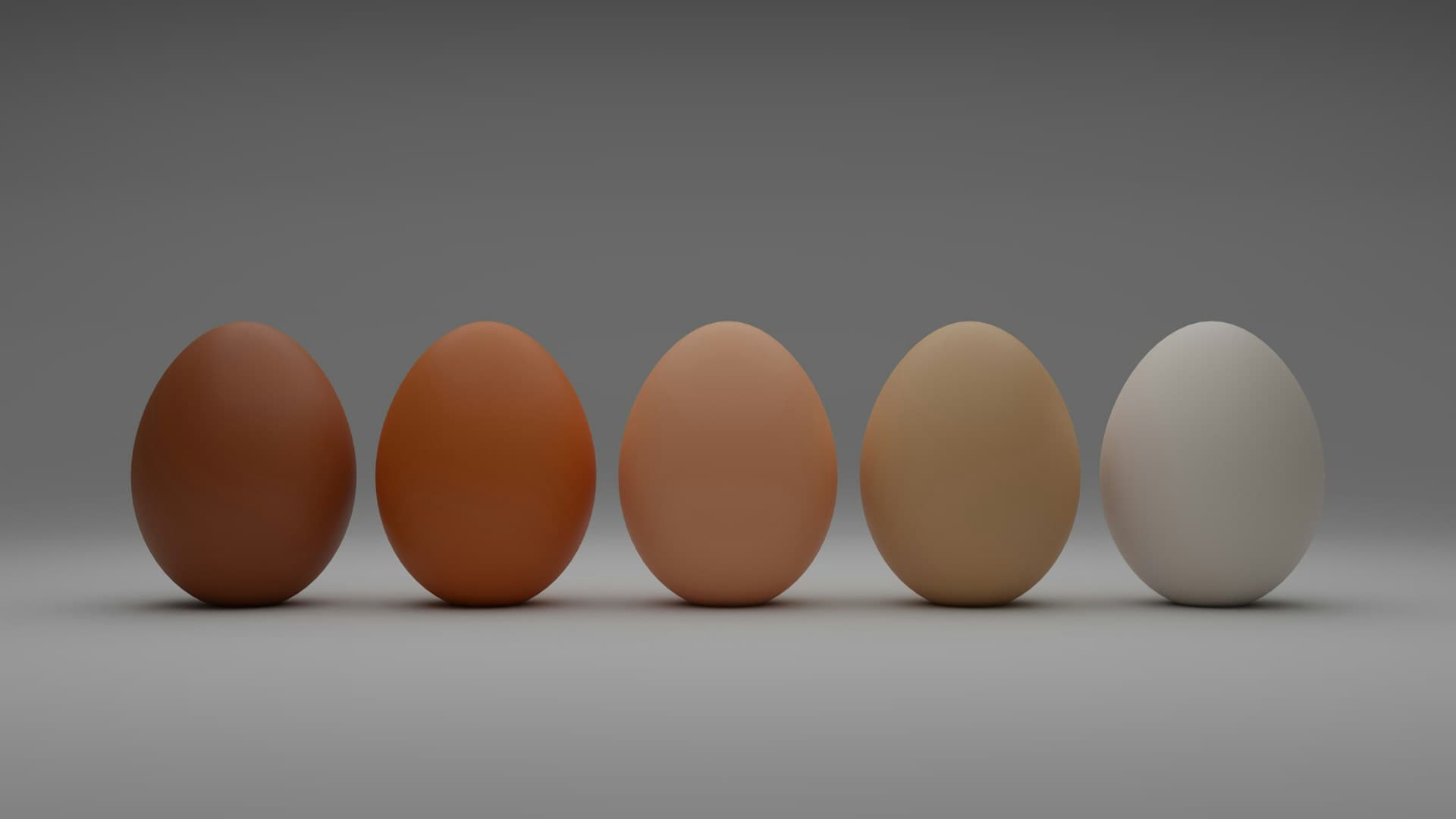 fried eggs