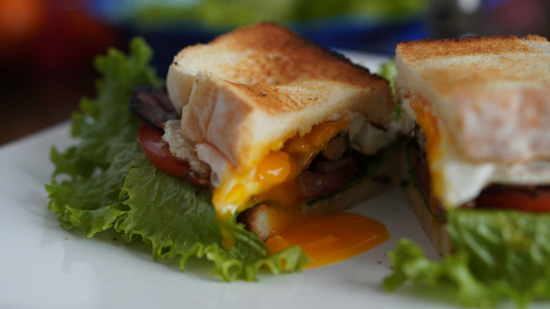 carnivore-sandwich