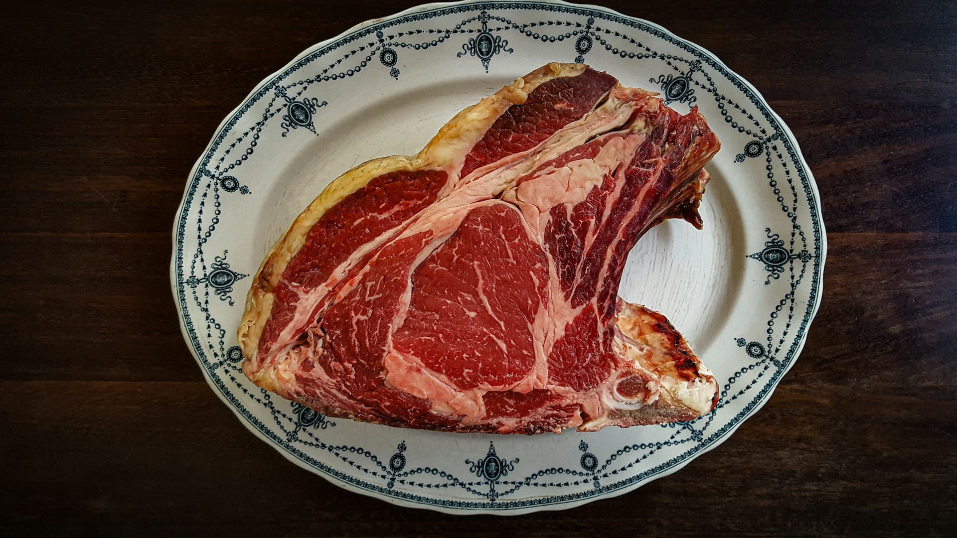 fresh carnivore