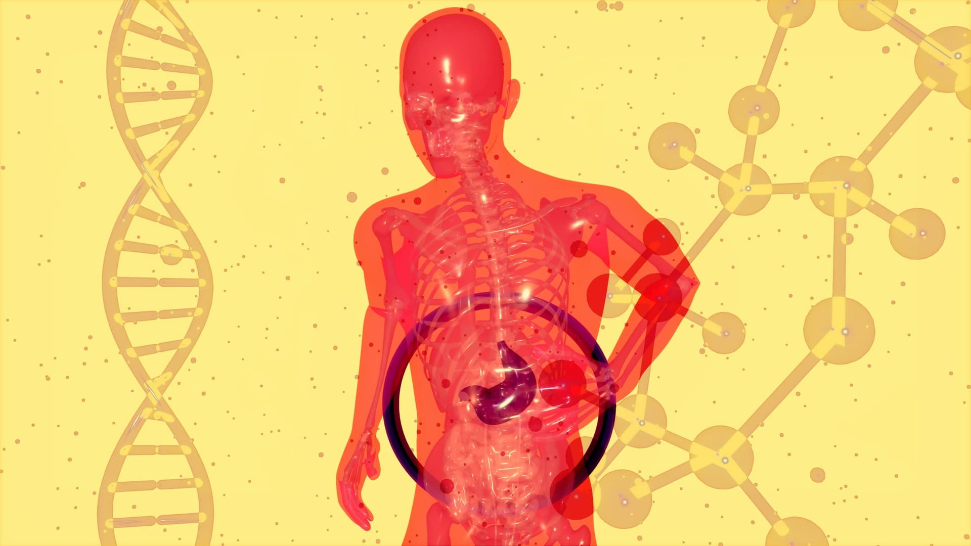 digestive health