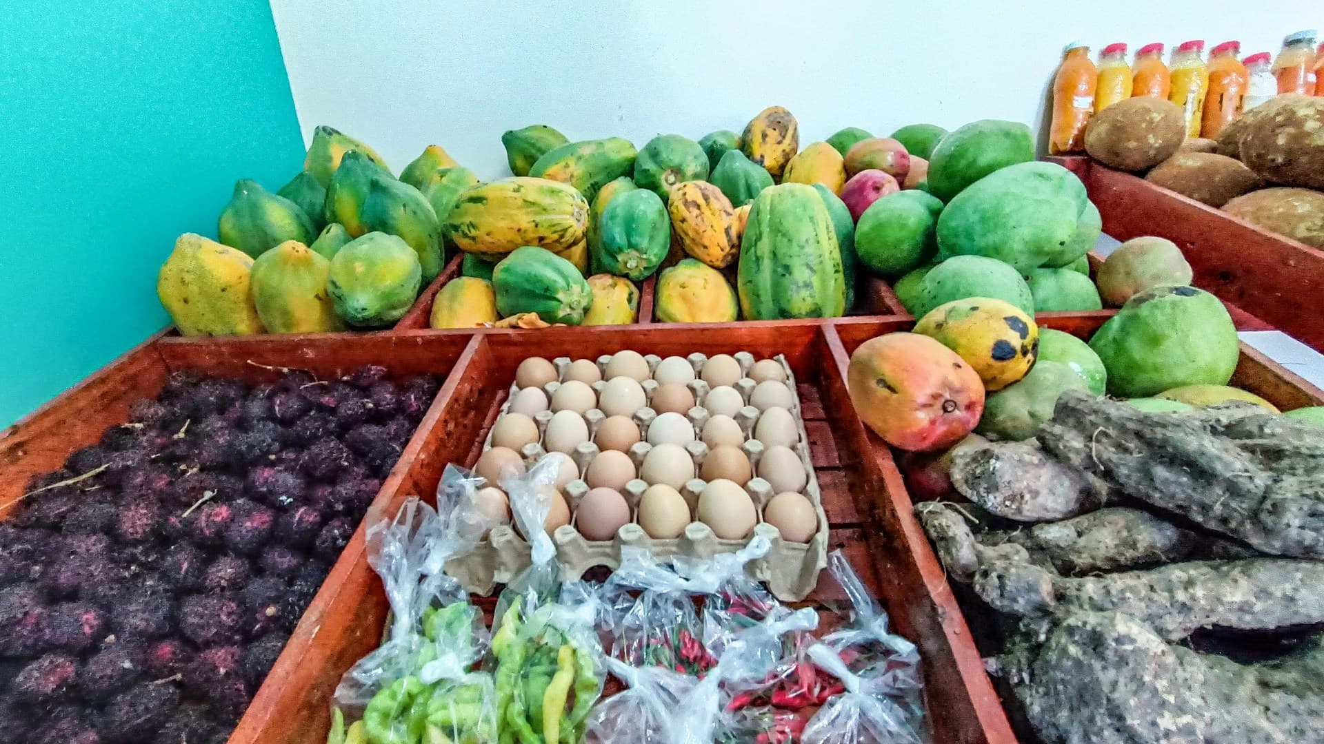 fresh diet