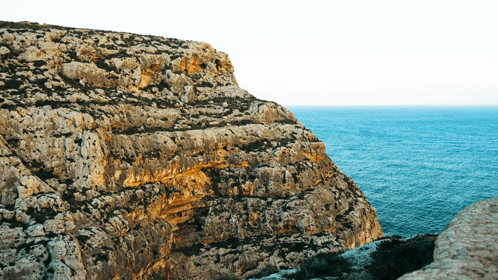 fresh mediterranean