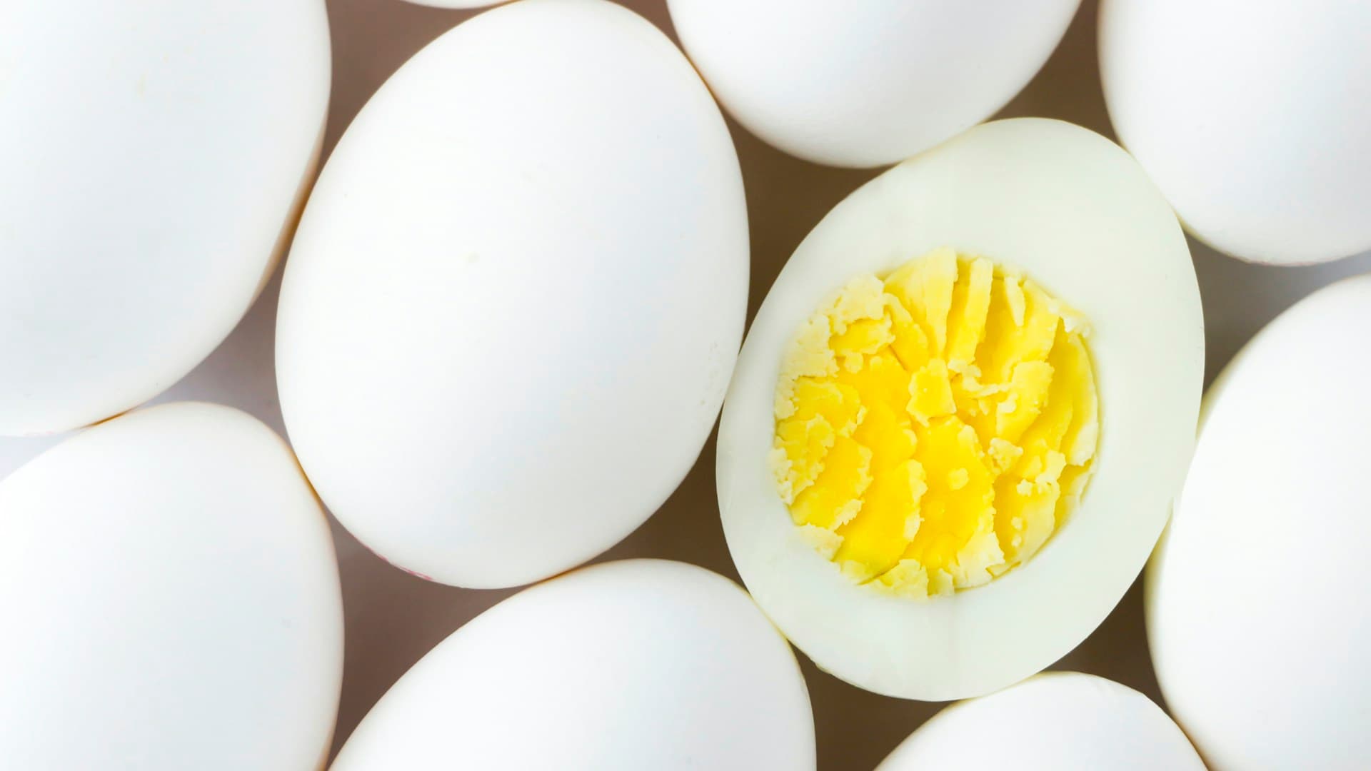 egg bowl
