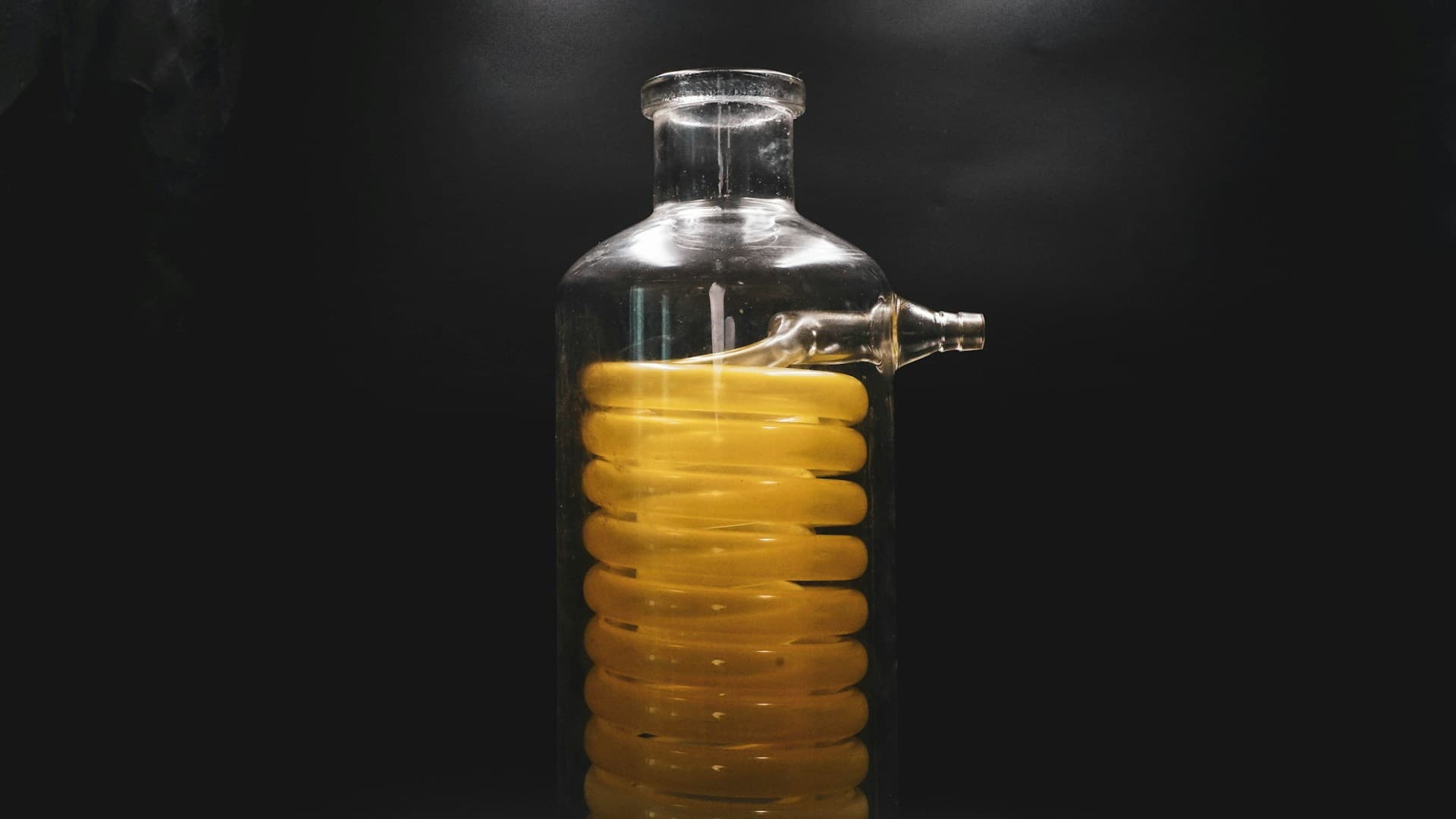 oil bottle comparison