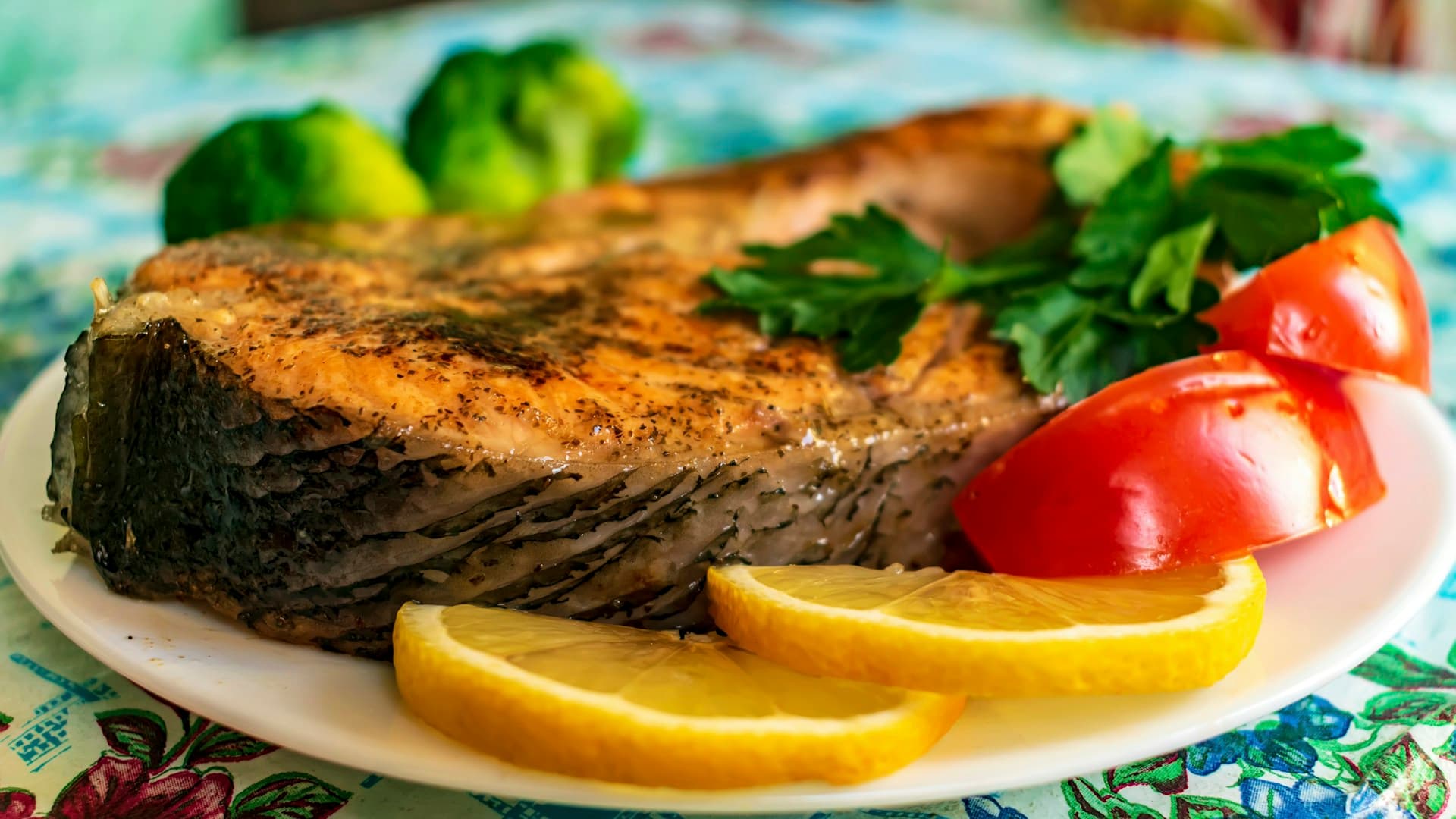 A beautiful flat lay of various carnivore diet recipes, including a seared steak, baked salmon, and egg muffins.