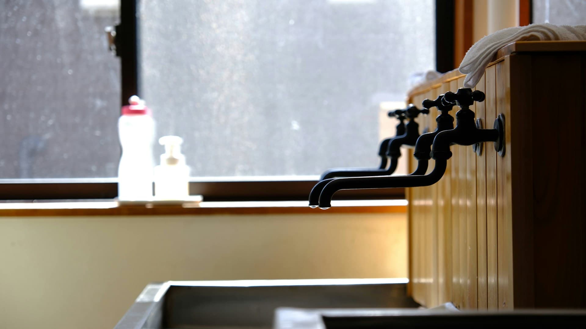 A person preparing a protein shake in a shaker bottle in a modern kitchen, signifying convenience.